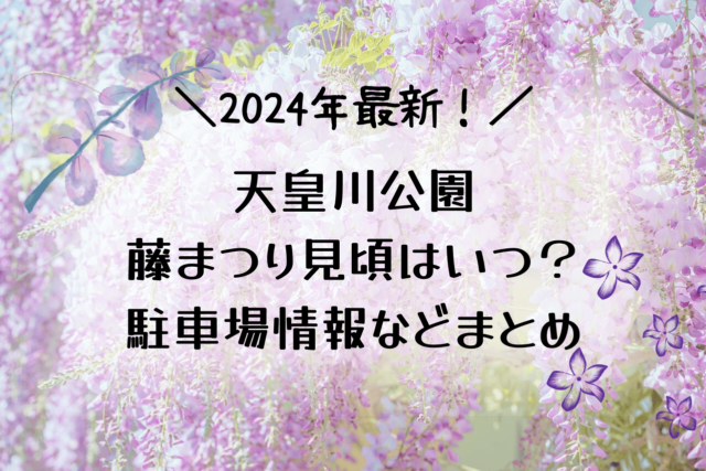 天皇川公園藤まつり見頃や開花時期は？ライトアップや駐車場情報まとめ