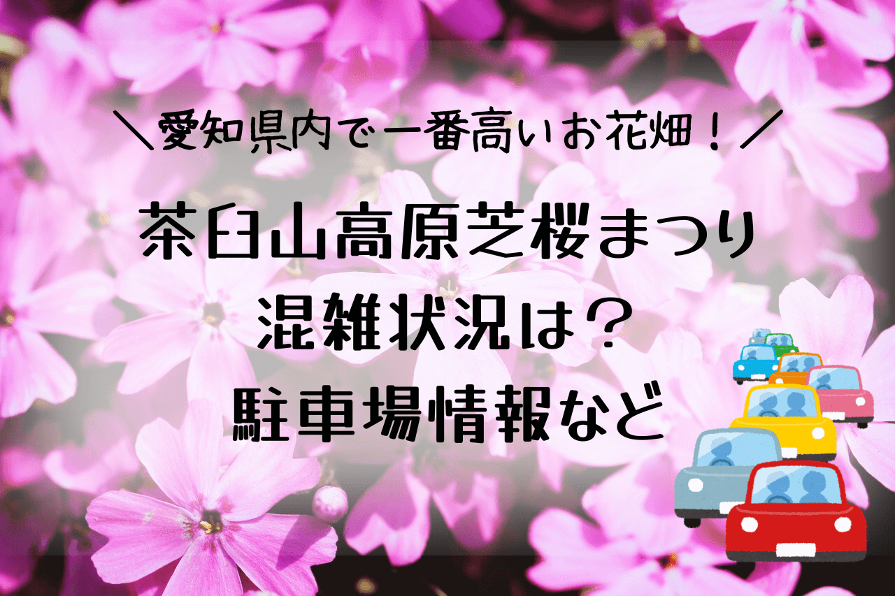 茶臼山芝桜2024混雑状況について調査！渋滞や駐車場情報も