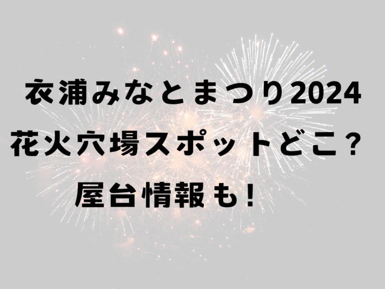 衣浦みなとまつり2024花火穴場スポットはどこ？屋台情報も！